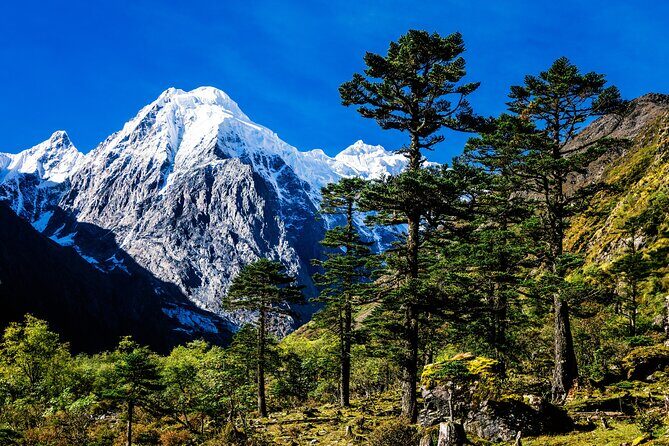 Summit of Silence 9 Day Meili North Face Pass Trek - What Really Sets This Tour Apart