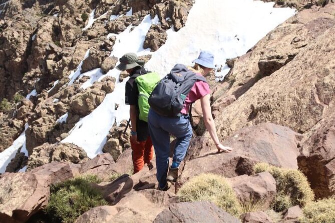 Summiting the Beautiful Atlas Mountains, Hike & Trek - Local Culture and Wildlife Encounters