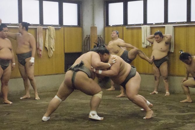Sumo Morning Practice Tour at Stable in Tokyo - Tour Information