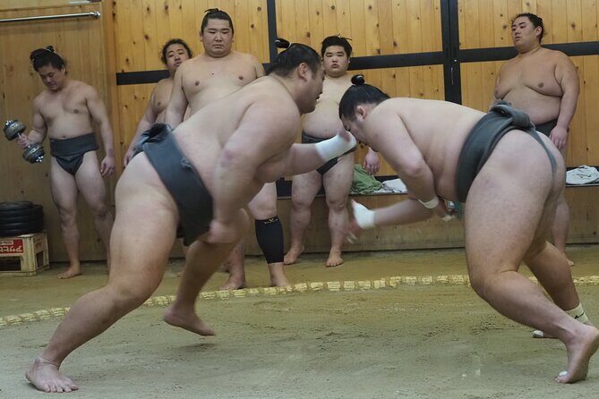 Sumo Morning Training Watch in Osaka (hotel pickup) - Good To Know