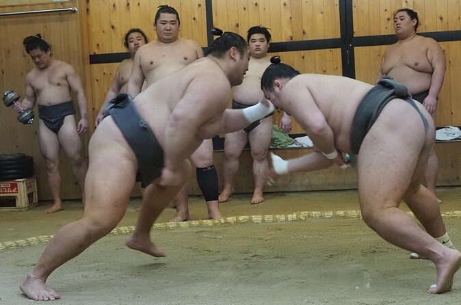 Sumo Morning Training Watch in Osaka (hotel pickup) - The Experience’s Practical Side