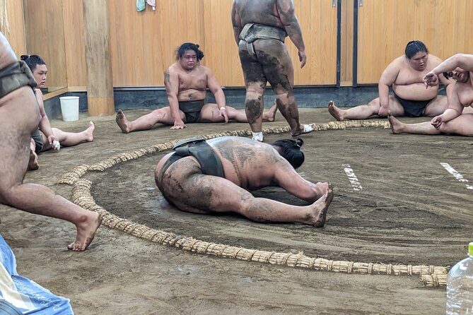 Sumo show and Chanko lunch - An In-Depth Look at the Sum Show and Chanko Lunch Experience