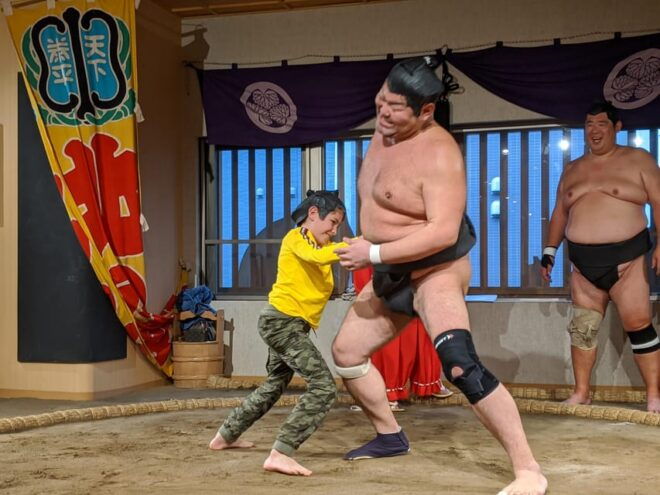 Sumo Show & Chanko Lunch - Cultural Insights