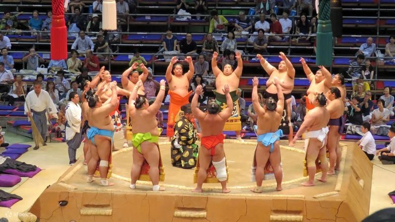 Sumo Tournament Experience in Nagoya - What makes Nagoya’s July basho different