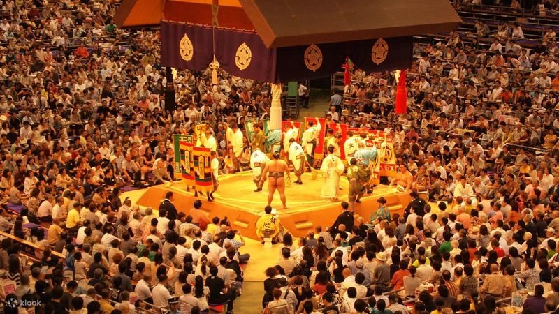 Sumo Tournament Experience in Nagoya - Optional chanko dinner, and what to request