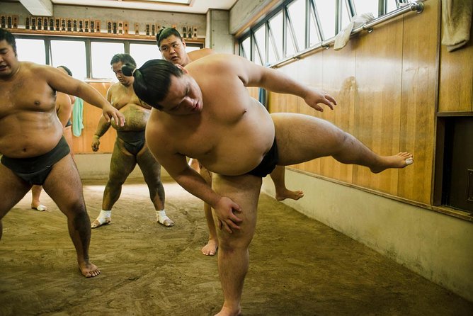 Sumo Training Session - Tour Overview