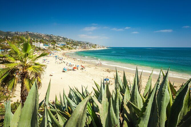 Sun, Art, and Sands in Laguna Beach Family Adventure - Who Will Love This Tour?