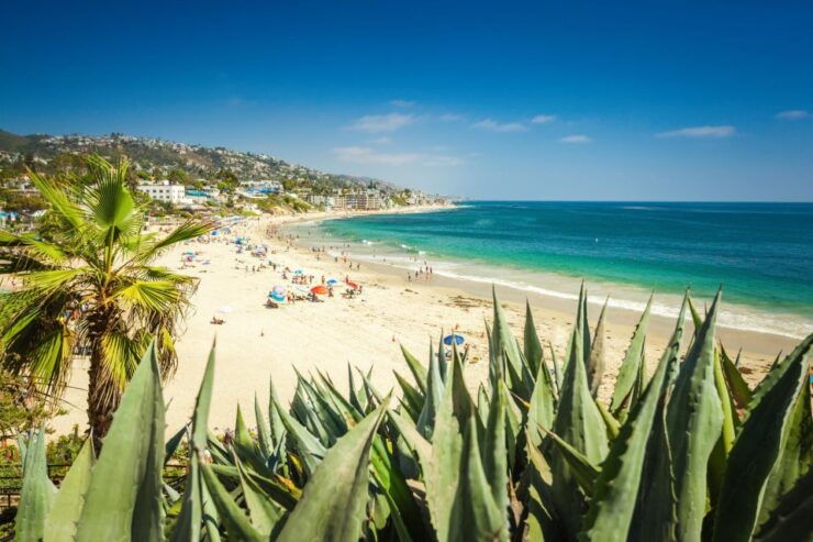 Sun, Art, and Sands: Laguna Beach Family Adventure - Availability and Itinerary