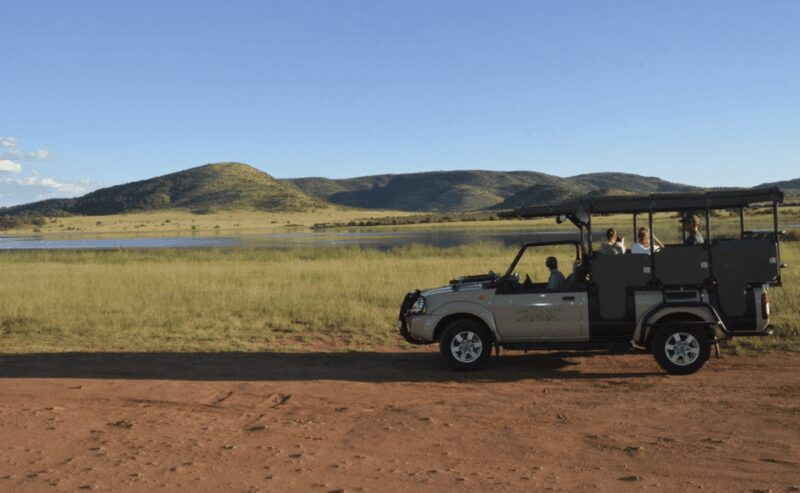 Sun City: 6H Game Drive with Lunch - Who Would Love This Tour?