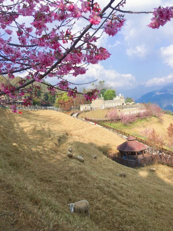 Sun Moon Lake & Qingjing Farm Day Tour from Taichung (Boat Ticket Included) - The climb to Cingjing Farm