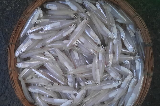 Sun, Sea, and Stories: Da Nangs Unique Cultural Odyssey - Experiencing Authentic Vietnamese Cuisine