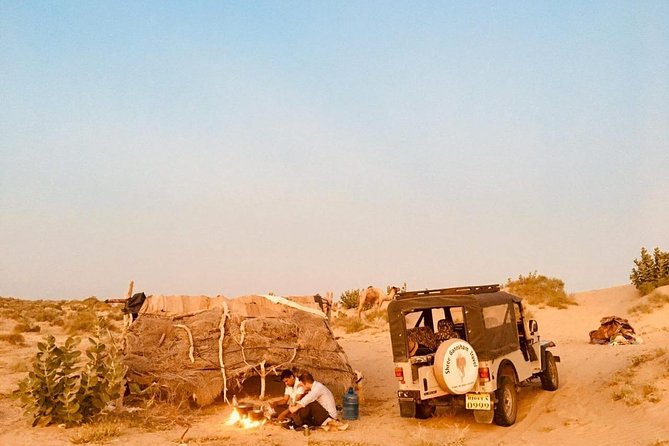Sun Set Safari With Dinner - Traveler Experience Insights