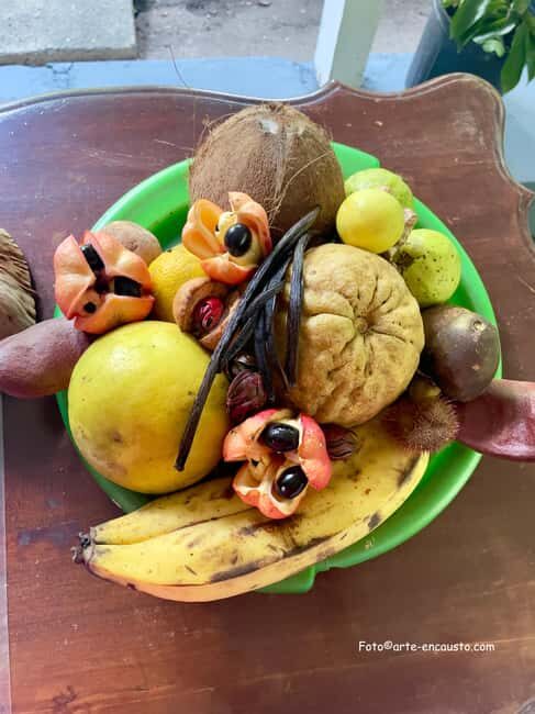 Sun Valley Plantation: Tropical paradise garden with hummingbirds - Final Thoughts  