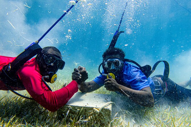 Suncay SNUBA Diving Adventure With Lunch - Reviews and Ratings of the Experience