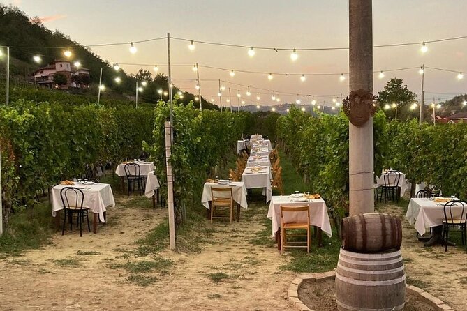 Sunday in the Vineyard for the Whole Family With Lunch - Meeting Point Information
