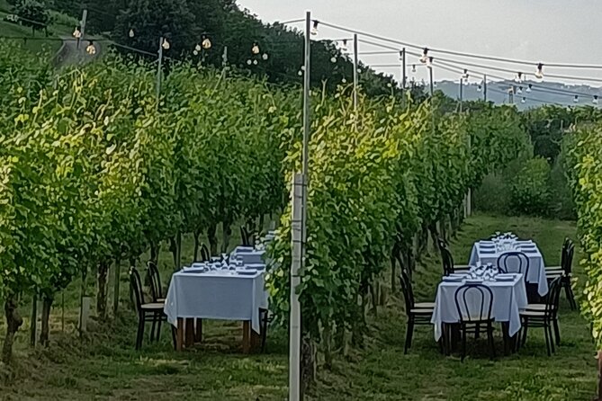 Sunday in the Vineyard for the Whole Family With Lunch - Accessibility Details