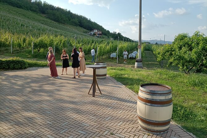 Sunday in the Vineyard for the Whole Family With Lunch - Cancellation Policy Overview
