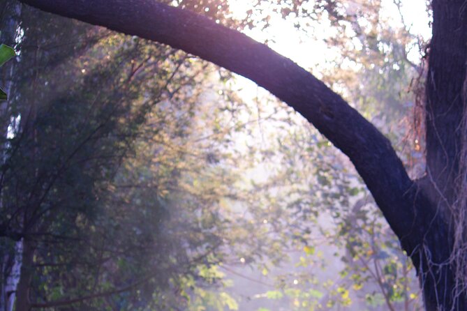 Sunder Nursery Delhis Heritage Garden Walk Tour - Reviews and Testimonials