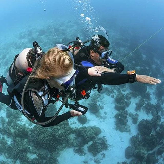 Sunderland: PADI Scuba Diving Experience - Scuba Diving Experience