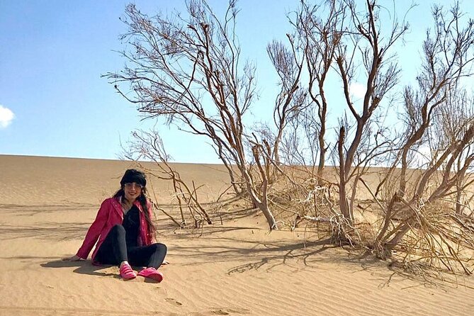 Sundowner Dune Safari With Dinner - Overview of Sundowner Dune Safari