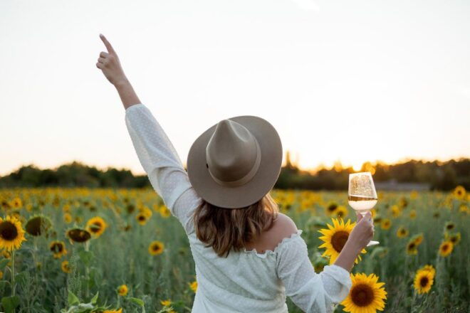 Sunflower Season in Tenuta Torciano Winery - Experience Highlights & Activities