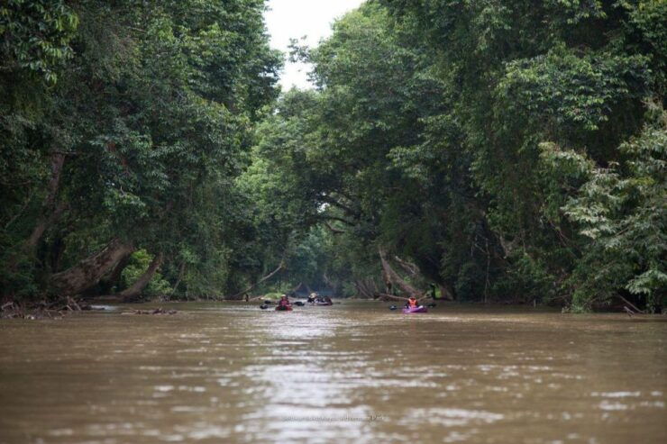 Sungai Berang Wildlife & Cultural Kayak Tour - Activity Details