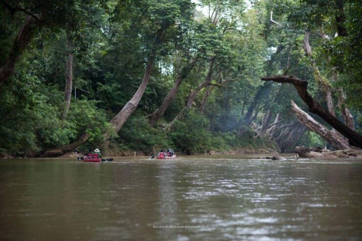 Sungai Berang Wildlife & Cultural Kayak Tour - Highlights