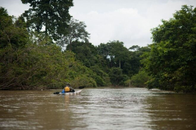 Sungai Berang Wildlife & Cultural Kayak Tour - Common Questions