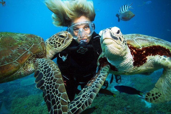 Sunlover Reef Cruises Cairns Great Barrier Reef Experience - Booking and Pricing