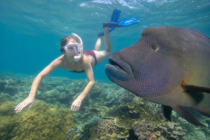 Sunlover Reef Cruises Cairns Great Barrier Reef Experience - What To Expect