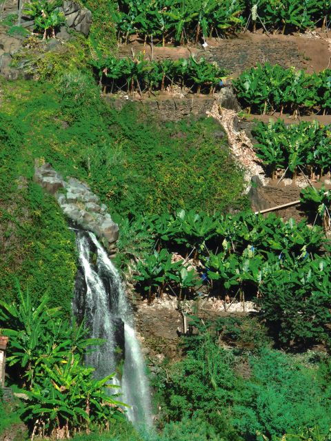 Sunny Drenched Southwest of Natural Beauty, Tradition & Rum - Southwest Madeira: Natural Beauty Overview