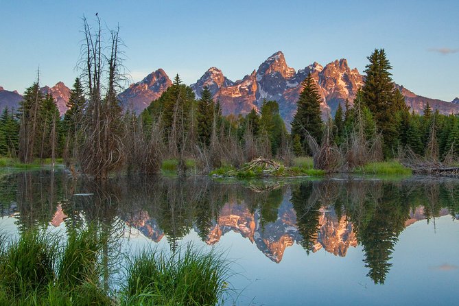 Sunrise 4-Hour Grand Teton Wildlife Adventure - Tour Overview and Details