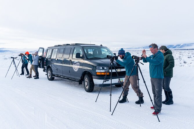 Sunrise 4-Hour Grand Teton Wildlife Adventure - Tour Guide Expertise and Animal Sightings