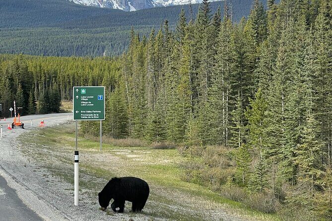 Sunrise Adventure: Alpenglow at Moraine Lake & Lake Louise - Who Will Love This Tour?
