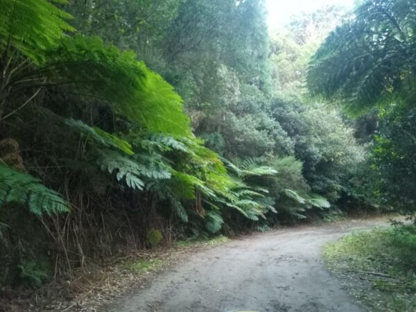 Sunrise and Off-Road PRIVATE Tour - Frequently Asked Questions