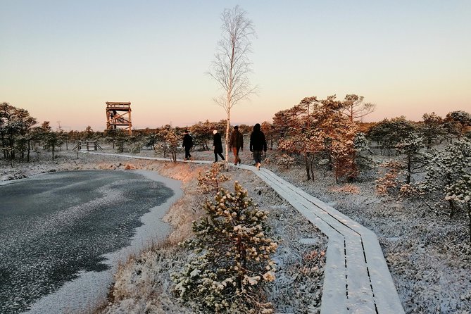 Sunrise at Kemeri National Park + Jurmala - Tour Details
