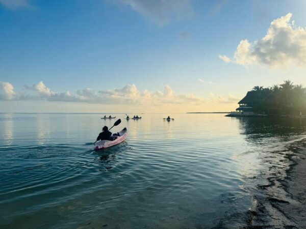 Sunrise at Mangrove - Frequently Asked Questions