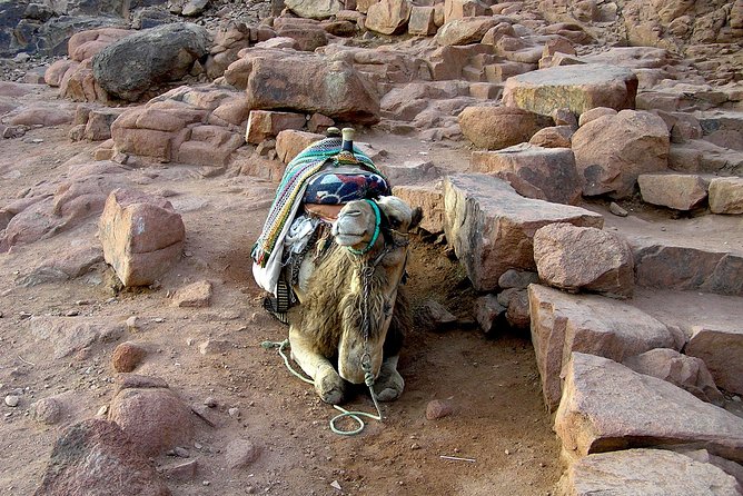 Sunrise at Mount Sinai and St. Catherine Monastery. Trip From Sharm El Sheikh - St. Catherine Monastery Tour
