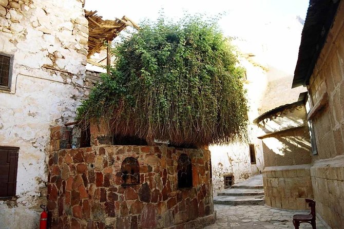 Sunrise at Mount Sinai and St. Catherine Monastery. Trip From Sharm El Sheikh - Common Questions