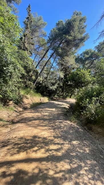 Sunrise at Tibidabo + local breakfast with views - Good To Know