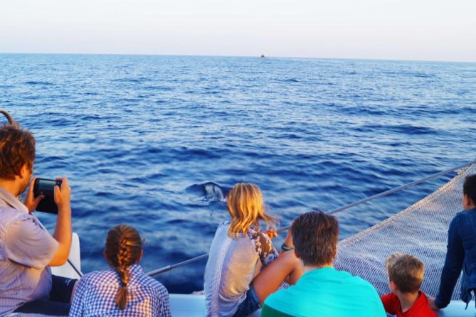 Sunrise Boat Trip in Mallorca With Dolphin-Watching - Highlights and Sightings