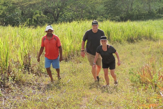 Sunrise Breakfast at Fiji Outback, Then Visit More Places of Your Choice - Breakfast at Fiji Outback