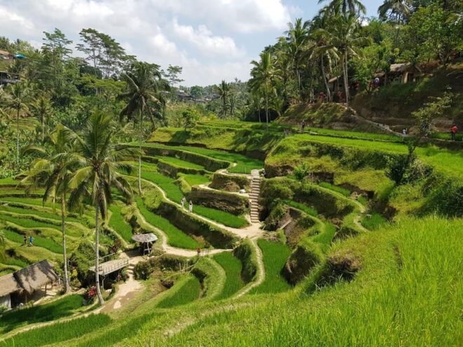 Sunrise Café and Morning Yoga Class - Visiting Rice Terraces