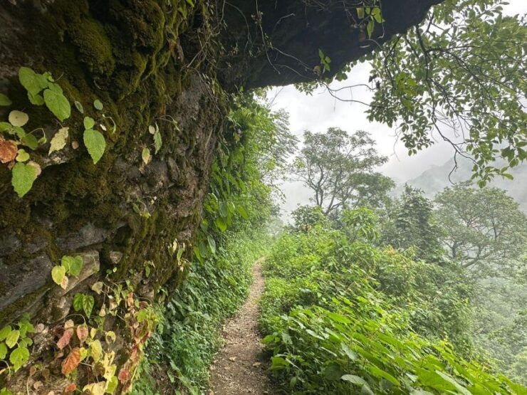 Sunrise Day Hike in Rishikesh - Pricing and Inclusions