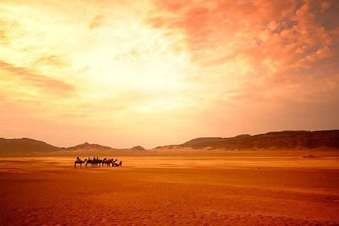 Sunrise Desert Safari - Traveler Photos