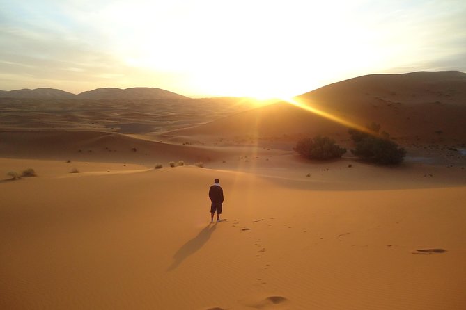 Sunrise Desert Safari Dubai on Private Basis for 1 to 6 People - Questions and Support