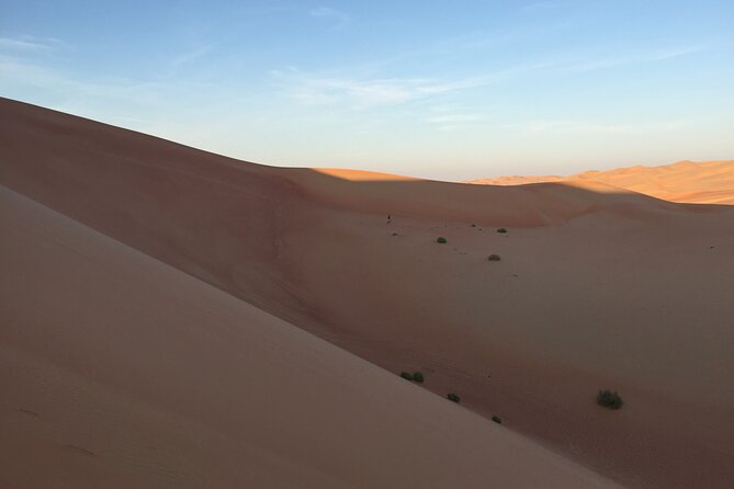 Sunrise Desert Safari Dune Bashing Camel Farm Visit - Additional Information