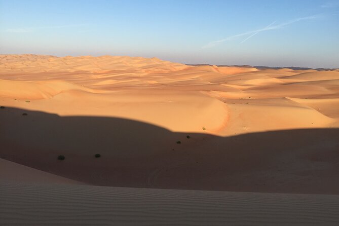Sunrise Desert Safari Dune Bashing Camel Farm Visit - Price and Booking Details