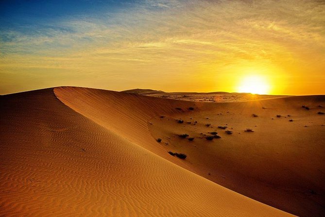 Sunrise Desert Safari From Abu Dhabi - Tour Highlights