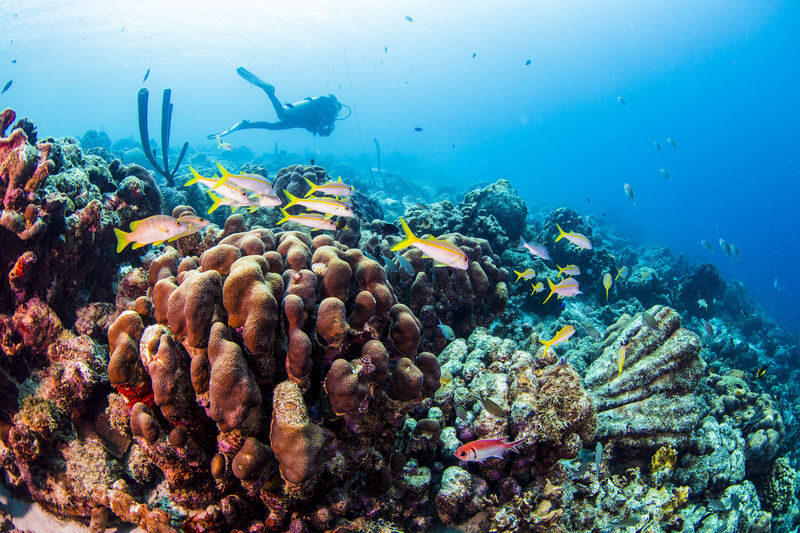 Sunrise Dive in Boracay: Start at 8AM with PADI Center - An early start from Station 3